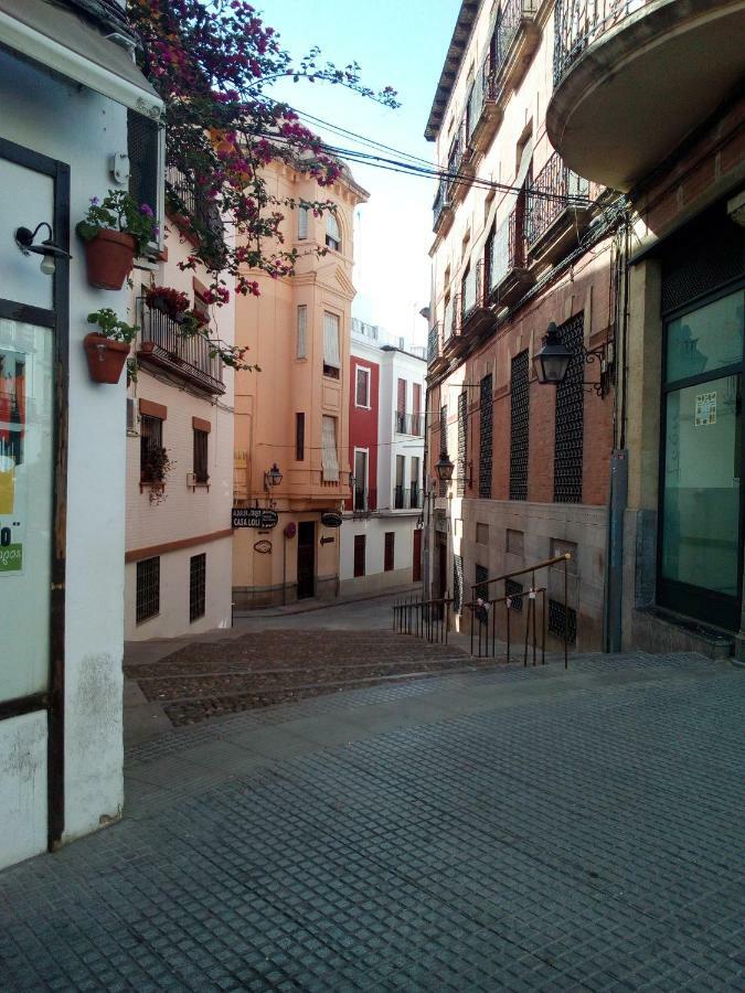 Vivienda Turistica Templo Romano Córdoba Eksteriør bilde